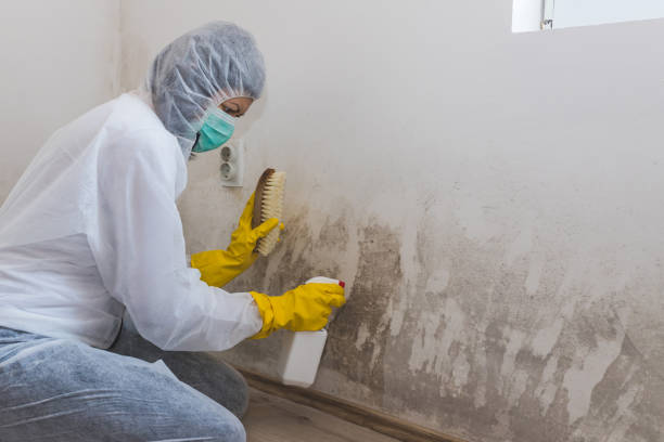 Mold Removal for HVAC Installations in North Hobbs, NM