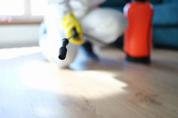 Best Residential Mold Inspection & Testing  in North Hobbs, NM